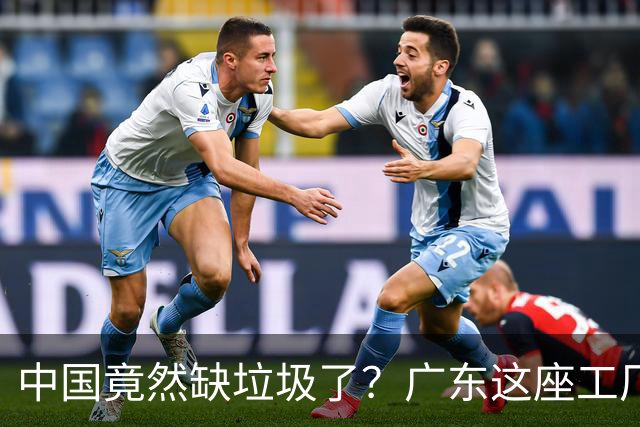 中国竟然缺垃圾了？广东这座工厂一天吃 9300 吨，一年发电 12 亿度！