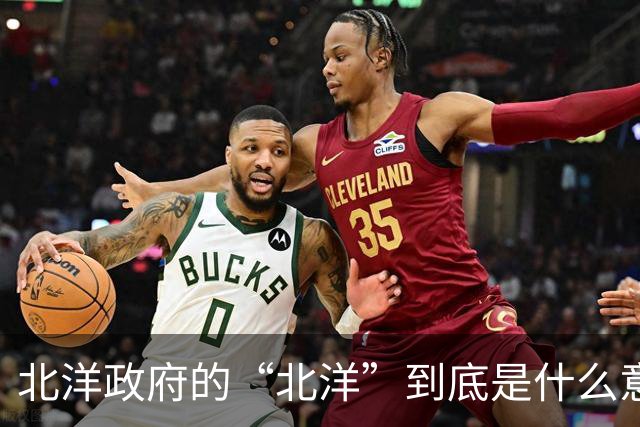 北洋政府的“北洋”到底是什么意思？不是北方洋人的意思