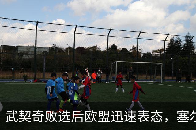 武契奇败选后欧盟迅速表态，塞尔维亚入盟之门正式敞开：欢迎塞尔维亚的加入
