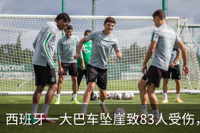 西班牙一大巴车坠崖致83人受伤，中国游客未能挤上车躲过一劫，当事人：当天正在事发地徒步，事发后在山顶等待了5个半小时才平安下山